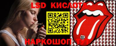 гашик Кингисепп
