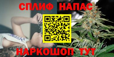 крисы Кинель