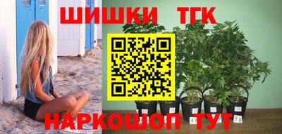 крисы Кинель