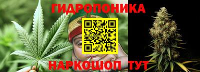 ALPHA PVP Кимры