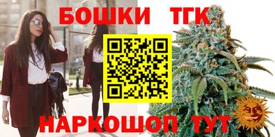 гашик Кингисепп