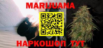 гашик Кингисепп