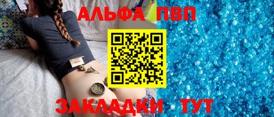 гашик Кингисепп