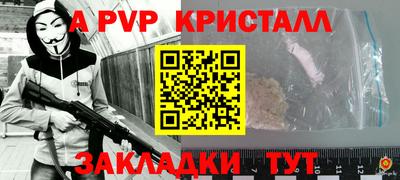 гашик Кингисепп