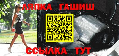 гашик Кингисепп