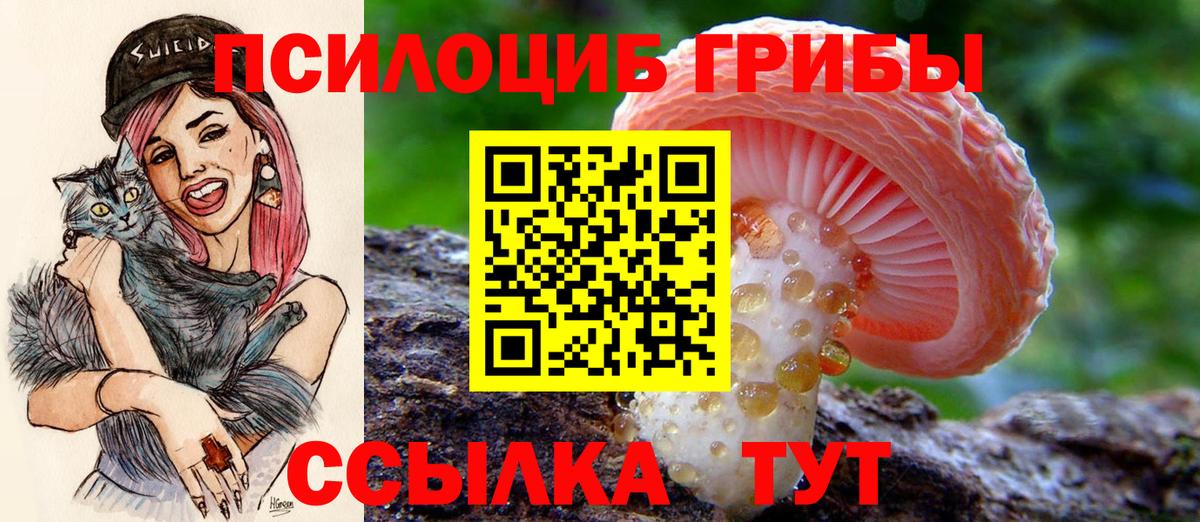Ленинск-Кузнецкий  Галлюциногенные грибы мухоморы  Галлюциногенные грибы Magic Shrooms  Вход с VPN 